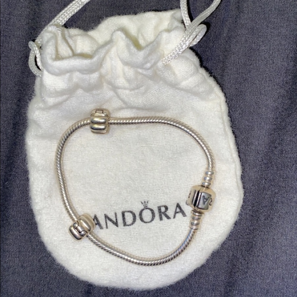 Pandora Snake Chain Bracelet